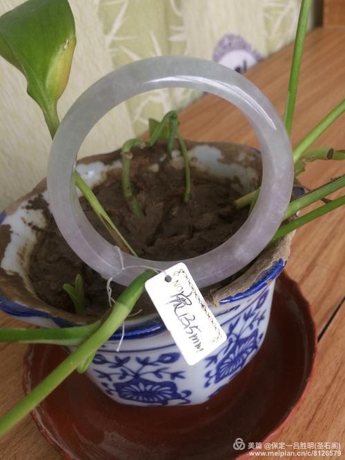 翠韵丝语 致那些在细节里见品味的翡翠与美发饰品经营者